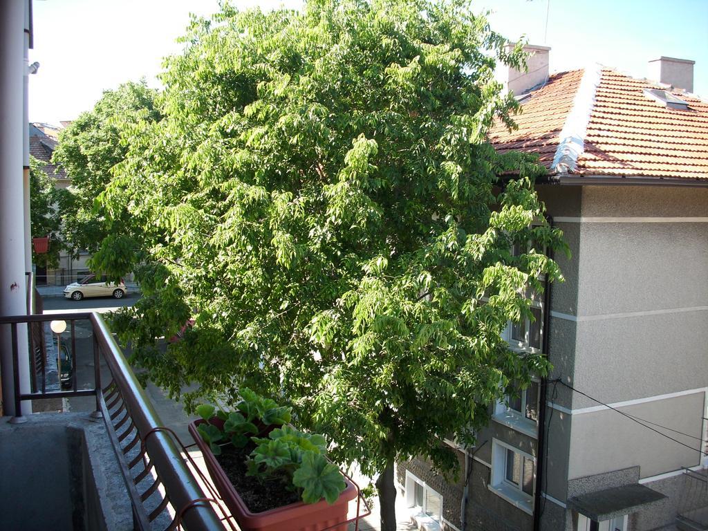 Georgievi Guest House Pomorie Eksteriør billede